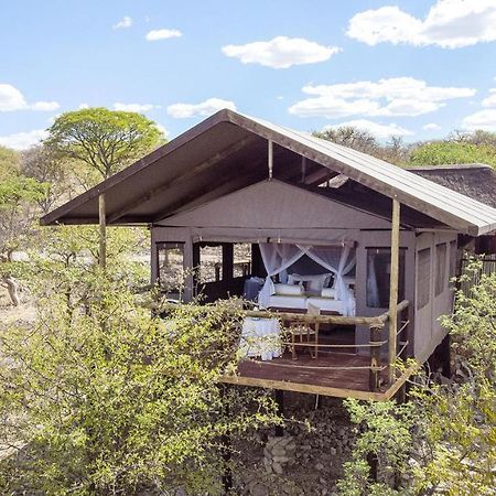 Eagle Tented Lodge & Spa オカウクエジョ エクステリア 写真