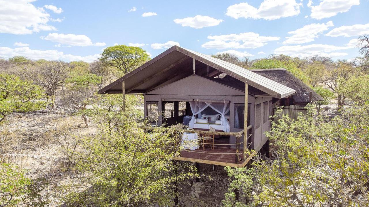 Eagle Tented Lodge & Spa オカウクエジョ エクステリア 写真