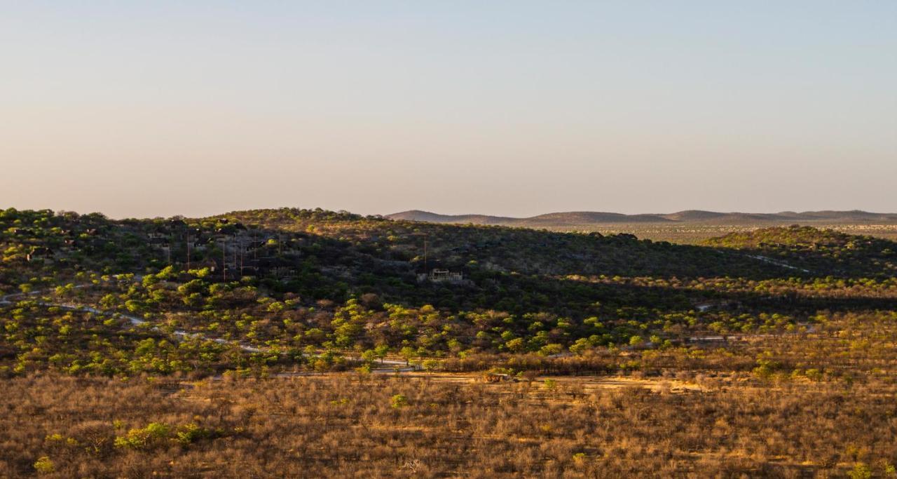 Eagle Tented Lodge & Spa オカウクエジョ エクステリア 写真
